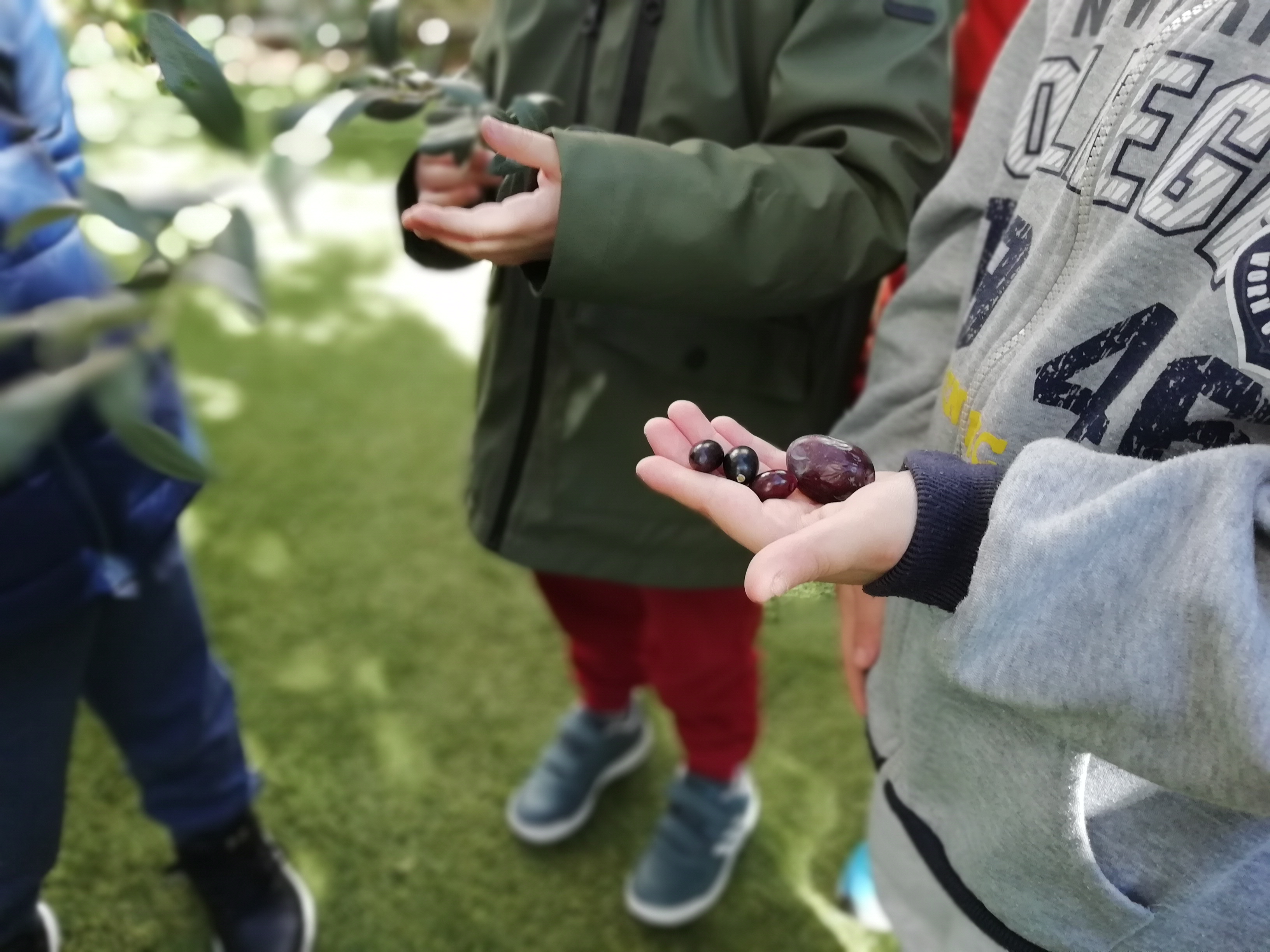 Τα Χαρούμενα Ηλιοτρόπια - Παιδικός Σταθμός - Νηπιαγωγείο