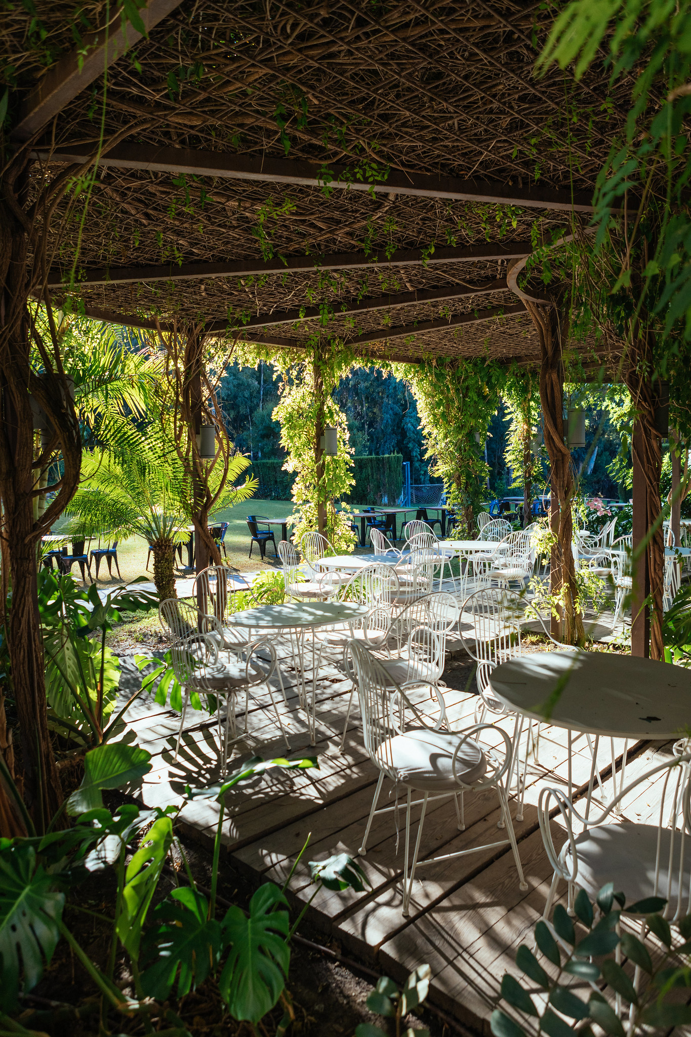Les Roches International School of Hotel Management
